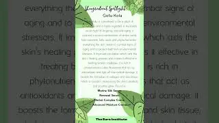 Skingredient Spotlight: Gotu Kola