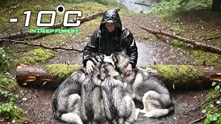 Old grandmother camping with husky in deep forest