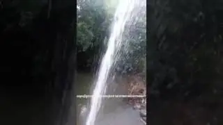 pump water by using cuter  machine  grass