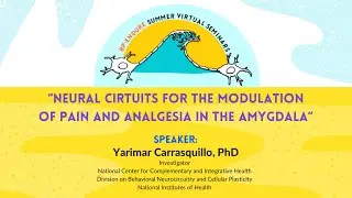 BP ENDURE Summer Virtual Seminars ft. Dr. Yarimar Carrasquillo (National Institution of Health)