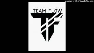 Team Flow-Novos Flows