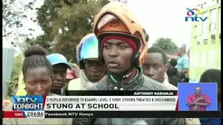Swarm of bees attack 177 pupils at Kanyariri Primary School in Kiambu