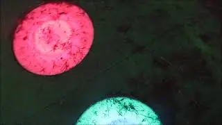 ひろしまドリミネーション2025