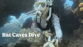 Florida’s Most Remote Reef Dive | Bat Caves 2 | Dry Tortugas National Park