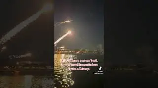 #disneyworldfireworkcruise #disneyfun #disneyworldinfluencer