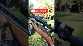 Evanix AR6K Hunting Master .22 #plinking #airguns #pcp