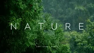 Lofi Rain & Nature Sounds 🌧️ Relaxing Beats to Study, Work or Focus | Deep Focus Lofi