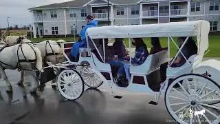 Holiday rides  &ndash; Horse Drawn Carriage &ndash; Stretch Victorian Carriage 9