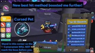 Sword Warriors New best hit method featuring the Cursed Pet!