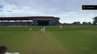 Cricket 24 Another Googly Delivery Wicket