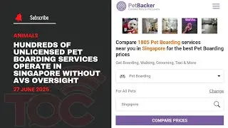 Hundreds of unlicensed pet boarding services operate in Singapore without AVS oversight