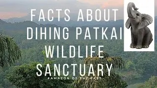 7 Facts About Dehing Patkai Wildlife Sanctuary || FactoLand || @assamtourism