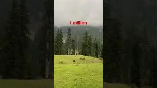 swat jarogo meadows