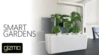 Click & Grow Smart Garden - Review