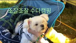 조잘조잘 임조잘의 솔로캠핑 아니고 조잘캠핑