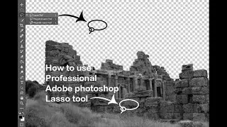 how to use professional adobe photoshop lasso tool