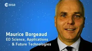 Academic Background: aerospace, electrical and software engineers in EO data exploitation
