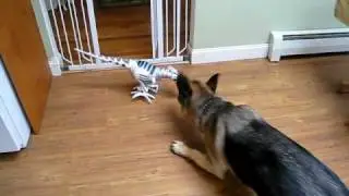 Max and Roboraptor