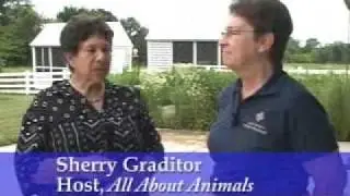 THE ANIMALS OF RYERSON WOODS PART 1