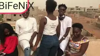 Befinix magni