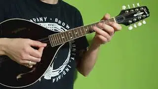 Great Beginner Mandolins available at Weed Patch Music!