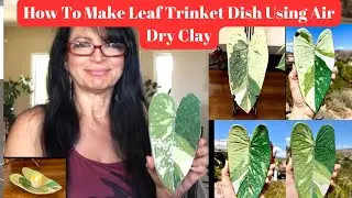 Part 1, How to make Jose Buono Leaf Trinket Dish with Air Dry Clay Comprehensive Tutorial Beginners