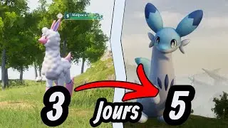 Mon PREMIER COMBAT de BOSS contre Chillet - Palworld Ep. 2
