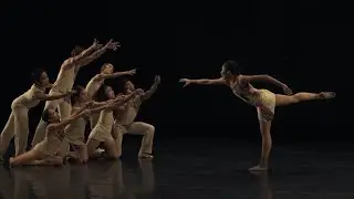 The Artists of the CCP Professional Dance Support Program in 