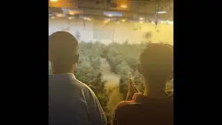 LOS VAGOS CON LOS VAGOS (feat. Perfil Bajo)