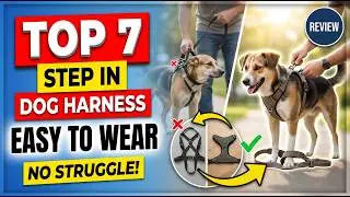 Top 7 Best Step in Dog Harness Easy To Wear (Exclusive) Walks Made Easy 2026