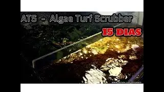 Algae Turf Scrubber o ATS