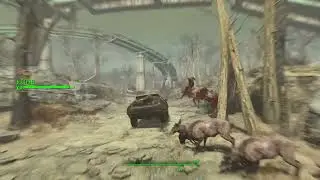 Fallout 4 - DOTC Havok Physics Vehicles - Goofing with a new suspension setup again.