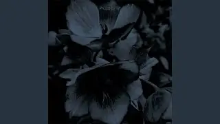 This Could Be (Instrumental Mix)