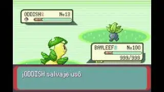 POKEMON EMERALD | BAYLEEF | CHAPOTEOLODO | MUD SPORT
