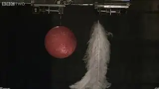 NORMAL SPEED: Bowling Ball and Feather falling in a Vacuum Chamber