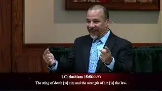 Flee From The Bee!  -  Pastor Scottie Deal