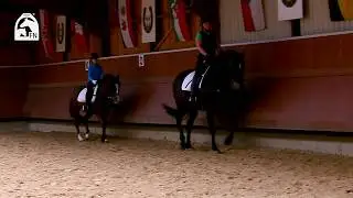 Reitabzeichen 6