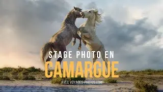 Découvrez le stage photo en Camargue !