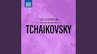 Piano Concerto No. 2 in G Major, Op. 44, TH 60: III. Allegro con fuoco