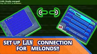 Настройка локальной сети на MelonDS | Локальный многопользовательский режим