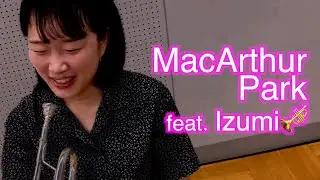 【詰み金】金管五重奏でマッカーサー・パークを吹いてみた！【出詰みちゃん】