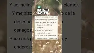 Salmo 40:1-3 Paciente esper&eacute; a Jehov&aacute; #promesas #biblia #palabradedios #notemas #salmospoderosos