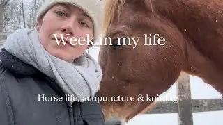 Week in my life (horse life, acupuncture & knitting)