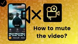 How to mute the video on Film Maker Pro?