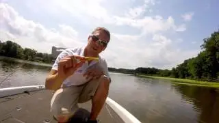 Biodegradable Fishing Bait! #Geniusbait