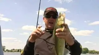 Bounty on Winnebago Preview