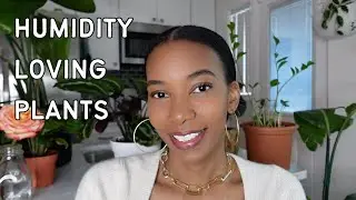 Plants That Thrive in High Humidity