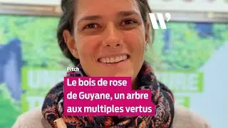 Une fili&egrave;re en d&eacute;marrage en Guyane autour du bois de rose #byewag