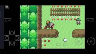 Pokemon sword and shield unlimited gba cheat mode 😈🔥