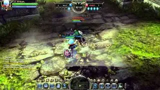 Dragon Nest Jonq Paladin Lag